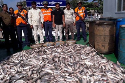 বরিশালে ৩০ মণ জাঁটকা জব্দ