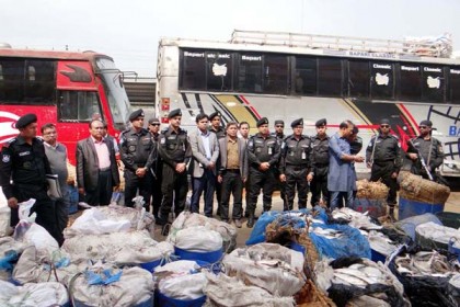 বরিশালে ৯৬ মণ জাটকা জব্দ, আটক ৫

