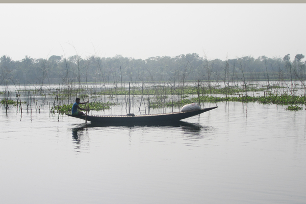 কোটচাঁদপুরে সরকারি বাঁওড়ে মাছ লুটের উৎসব

