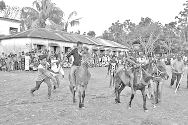 নাটোরে ঐতিহ্যের ঘোড়দৌড়