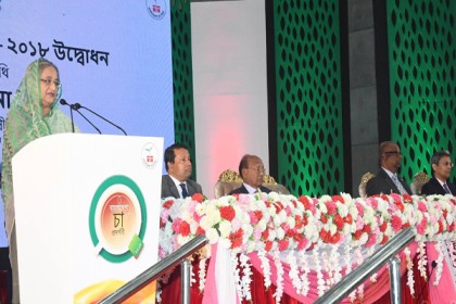'চা শিল্পকে উন্নত করার পদক্ষেপ জাতির পিতা নিয়েছিলেন'