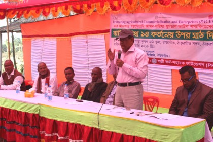 ঠাকুরগাঁওয়ে কৃষক মাঠ দিবস