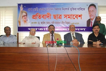 খালেদার রায়ে সরকারের হস্তক্ষেপ রয়েছে : অলি