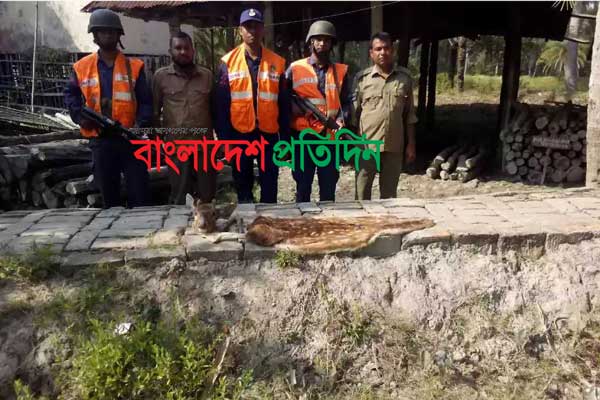 সুন্দরবন থেকে জবাই করা হরিণের মাথা ও চামড়া উদ্ধার