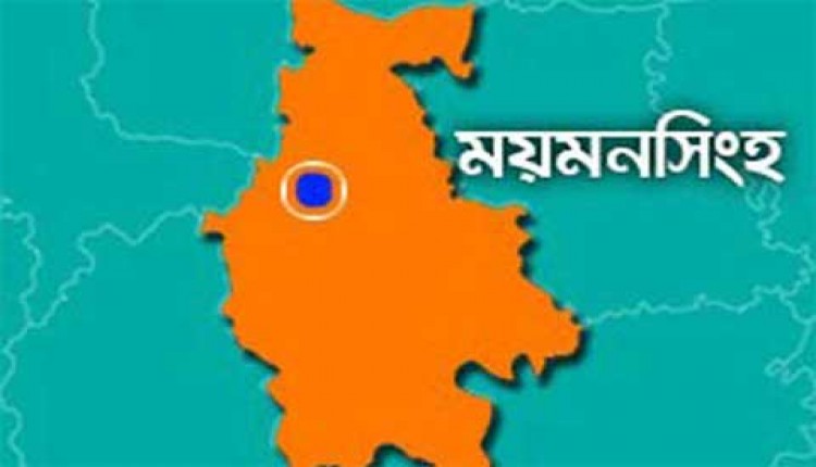 ময়মনসিংহে মানবতাবিরোধী অপরাধের আসামি গ্রেফতার 

