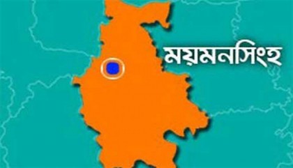 ময়মনসিংহে মানবতাবিরোধী অপরাধের আসামি গ্রেফতার 

