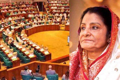 প্রধানমন্ত্রীর একার পক্ষে সব সমস্যার সমাধান করা সম্ভব নয়: রওশন
