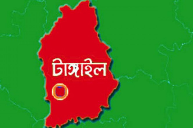 ভূঞাপুর পৌর মেয়রের বিরুদ্ধে অনিয়মের অভিযোগ কাউন্সিলরদের 

