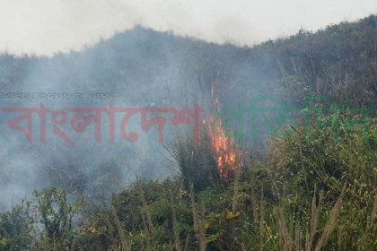 টেকনাফে পাহাড়ি বনে আগুন 