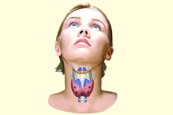  থাইরয়েড হরমোন ও হৃদরোগ