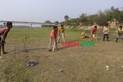 পুনর্ভবা নদী এখন ফসল আর খেলার মাঠ!
