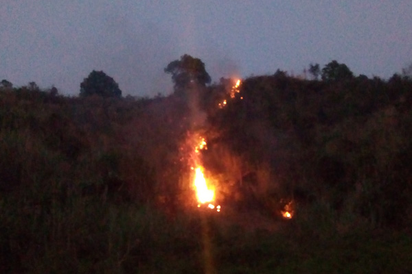 চবির সবুজ পাহাড়ে আগুন

