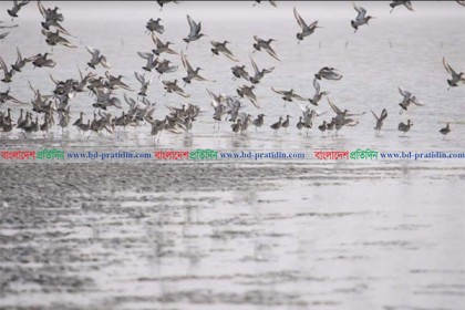 অপরূপ সৌন্দর্যের লীলাভূমি তাড়ুয়া সৈকত