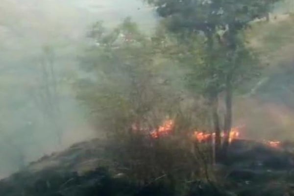 তামিলনাড়ুতে দাবানলে ৯ ট্রেকারের প্রাণহানি