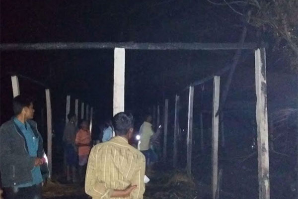 দিনাজপুরে কয়েলের আগুনে ১৪ ঘর পুড়ে ছাই, ৭ গবাদি পশুর মৃত্যু