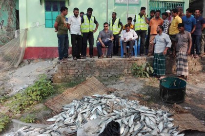 বরিশালে ১০০ মণ জাটকাসহ ১৪ জেলে আটক
