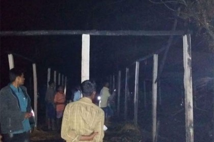 দিনাজপুরে কয়েলের আগুনে ১৪ ঘর পুড়ে ছাই, ৭ গবাদি পশুর মৃত্যু