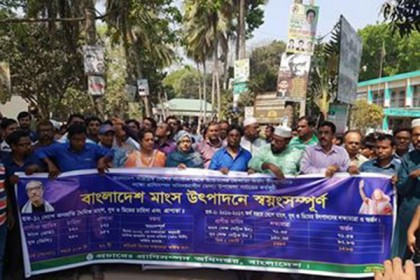 নিম্ন মধ্য আয়ের দেশে উত্তরণে কলারোয়ায় র‌্যালি