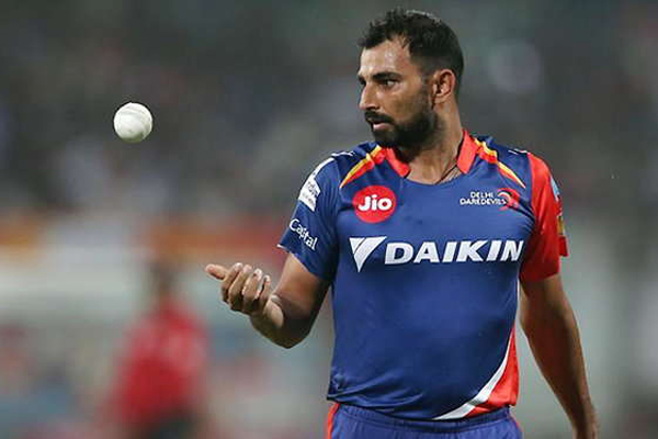 শামিকে নিয়ে স্বস্তিতে দিল্লি ডেয়ারডেভিলস