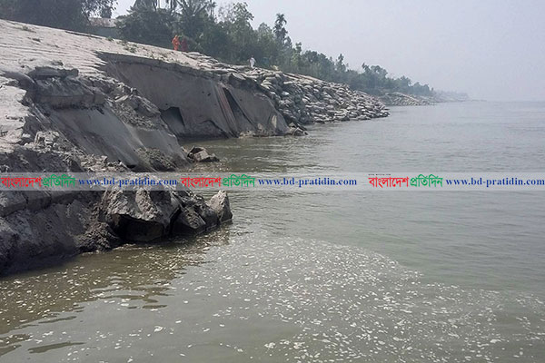সিরাজগঞ্জে উপজেলা রক্ষা বাঁধে ফের ধস, ২৫ মিটার বিলীন