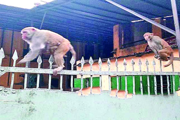 সাধনার অন্যরকম সংসার
