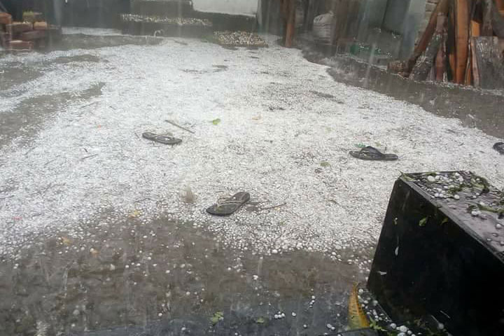 ঠাকুরগাঁওয়ে শিলাবৃষ্টিতে ফসলের ব্যাপক ক্ষতি