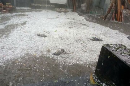 ঠাকুরগাঁওয়ে শিলাবৃষ্টিতে ফসলের ব্যাপক ক্ষতি