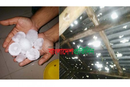 ফুলপুরে শিলাবৃষ্টি, সবজি চাষিদের ব্যাপক ক্ষয়ক্ষতি