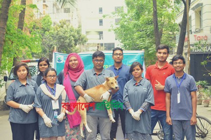 পথের কুকুর-বিড়ালের জন্য অভিনব চিকিৎসা সেবা