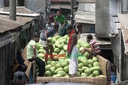 দক্ষিণাঞ্চলে তরমুজের বাম্পার ফলন