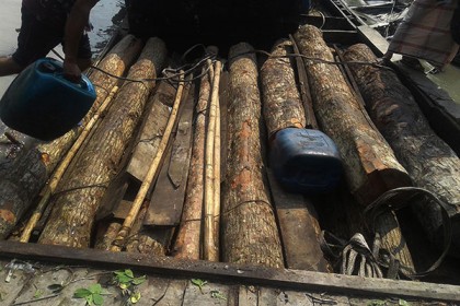 পাথরঘাটায় খাল থেকে বিপুল পরিমাণ সুন্দরী কাঠ জব্দ