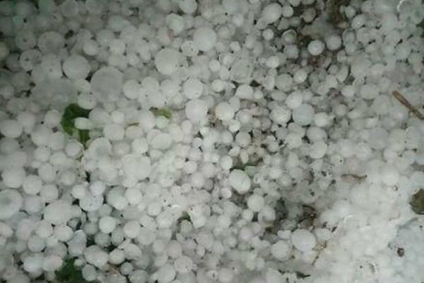 ৭ দিনের ব্যবধানে ফুলপুরে ফের শিলাবৃষ্টি 