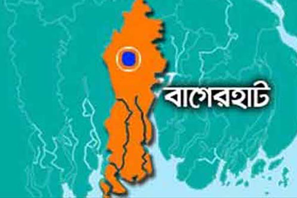 একসঙ্গে দুই সরকারি প্রতিষ্ঠানে চাকরি
