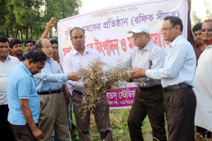 ঠাকুরগাঁওয়ে কৃষক মাঠ দিবস অনুষ্ঠিত

