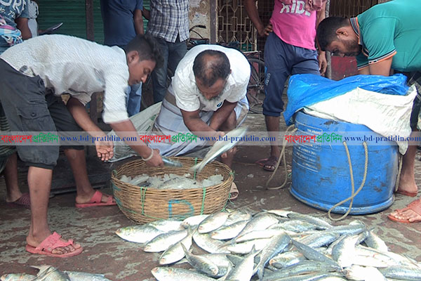 বরিশালে বর্ষ বরণে ব্যাপক প্রস্তুতি, ইলিশের গায়ে আগুন