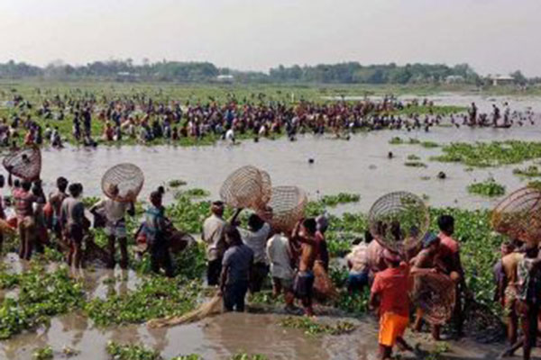 পাঙ্গিয়ার বিলে পলো উৎসব