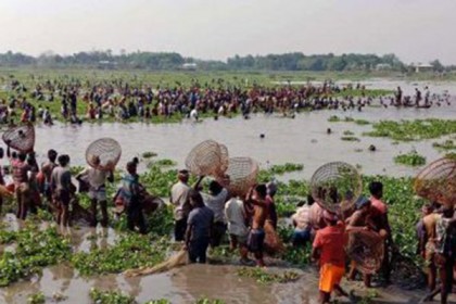 পাঙ্গিয়ার বিলে পলো উৎসব