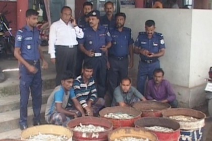 বরিশালে ৩০ মন জাঁটকাসহ আটক ৪