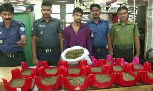লক্ষ্মীপুরে ১০ কেজি গাঁজাসহ যুবক আটক