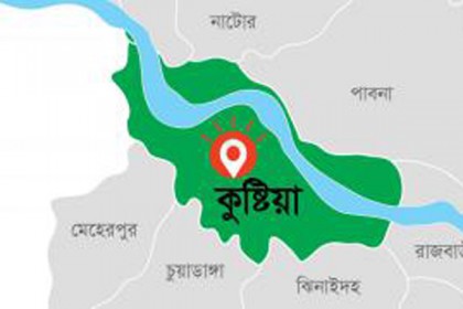 কুষ্টিয়ায় ট্রেনে কাটা পড়ে কিশোর নিহত