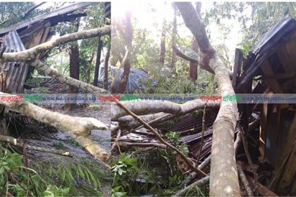 বরিশালে কালবৈশাখী ঝড়ে ১২ গ্রাম লণ্ডভণ্ড, গৃহবধূ নিহত
