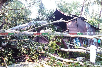 মাদারীপুরে কালবৈশাখীর তাণ্ডবে ব্যাপক ক্ষয়ক্ষতি