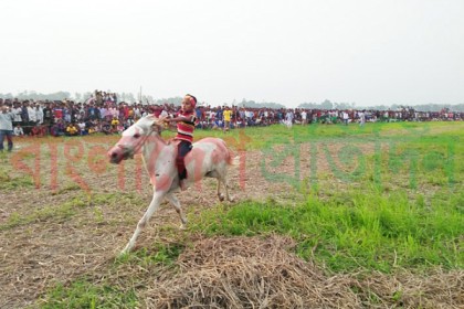 বড়াইগ্রামে ঘোড়া দৌড় প্রতিযোগিতায় প্রথম ৭ বছরের ক্ষুদে

