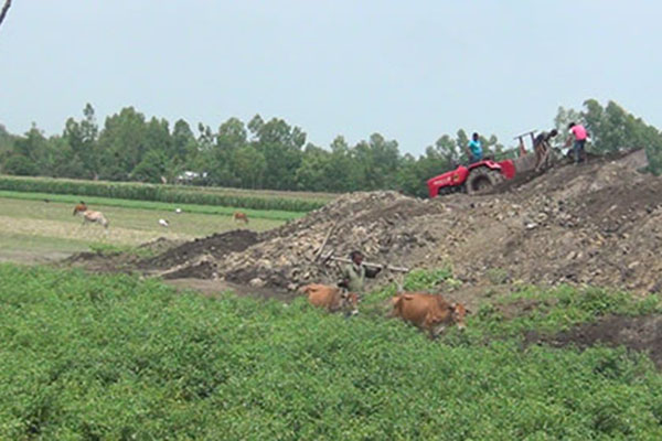 পঞ্চগড়ে ফসলি জমিতে ইটভাটা স্থাপনের অভিযোগ

