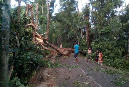 কালবৈশাখী ঝড়ে লণ্ডভণ্ড মেহেন্দিগঞ্জ