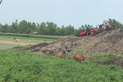 পঞ্চগড়ে ফসলি জমিতে ইটভাটা স্থাপনের অভিযোগ

