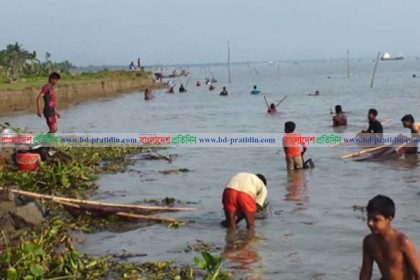 গলদা চিংড়ির রেনু নিধনের মহোৎসব, ৩০০ কোটি টাকার লেনদেন