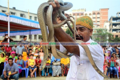 সাপুড়ের সাথে নাচে সাপ!