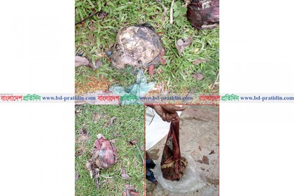 ঝিরির পানিতে ভেসে আসা কঙ্কালটির পরিচয় মেলেনি