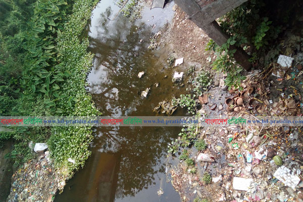 খরস্রোতা চিত্রা নদী এখন ময়লা-আবর্জনার ভাগাড়

